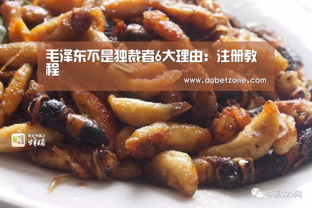 毛泽东不是独裁者6大理由:注册教程(图1) 客服支持